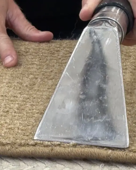 Cabin carpet, deep-cleaned by extraction